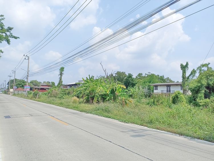 ขายที่ดินพร้อมบ้านสวน  5 ไร่ ติดถนนหน้า-หลัง คลองห้า, ภาพที่ 4