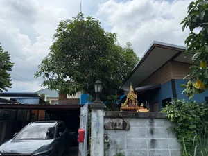 ขายบ้านเดี่ยวหลังใหญ่ พื้นที่ 105 ตรว 6 ห้องนอน 4ห้องน้ำ 1 ห้องทำงาน จอดรถ 4 คัน