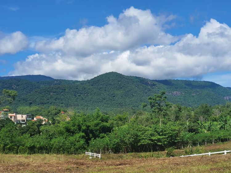 ขาย ที่ดิน ตำบลโป่งตาลอง อำเภอปากช่อง จังหวัดนครราชสีมา, ภาพที่ 4
