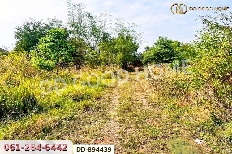 DD-894439 ที่ดินโนนสะอาด 100 ตร.ว. อุดรธานี ใกล้ที่ว่าการอำเภอโนนสะอาด, ภาพที่ 4
