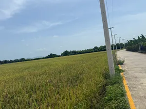 ขาย ที่ดิน ตำบลท่ายาง อำเภอท่ายาง จังหวัดเพชรบุรี