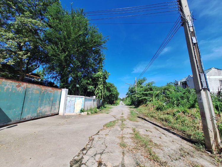 ขาย ที่ดิน บางบัวทอง ซอยวัดลาดปลาดุก 107 ตร.ว. แปลงสวย ริมในสุด, ภาพที่ 4