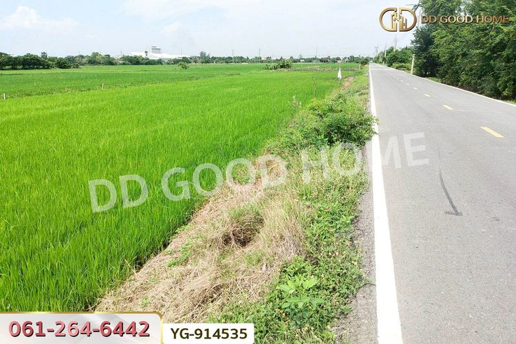 YG-914535 ที่ดินไทรน้อย 200 ตร.ว. นนทบุรี ใกล้วัดปลายคลองขุนศรี, ภาพที่ 4