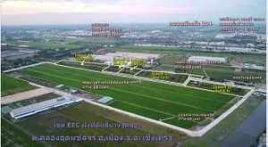 ขายที่ดินทำเลทองเขตEEC 5ไร่-40 ไร่ฟรีถมดินให้เสมอถนน คลองอุดมชลจร เมืองฉะเชิงเทรา ผังที่ดินม่วงจุดสีขาวเหมาะสร้างโรงงานทุกประเภท ถนนคอนกรีตกว้าง 10 เมตร 