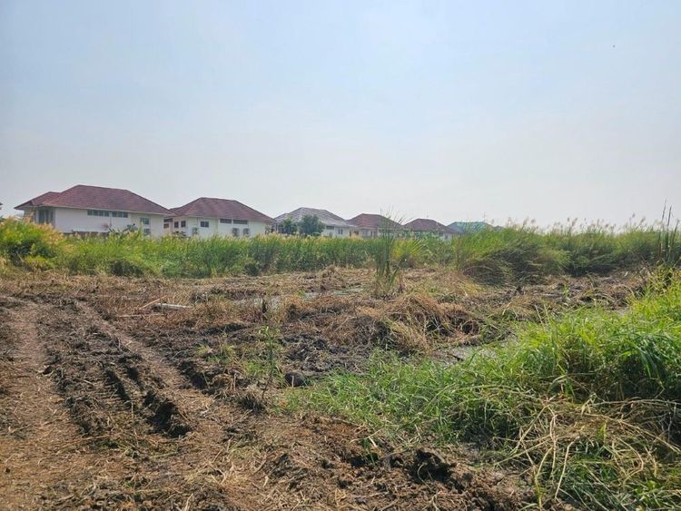 ขายที่ดินเปล่า 100 ตรว. ใกล้แหล่งชุมชน ทำเลดี ต.บางแก้ว อ.บางพลี, ภาพที่ 4