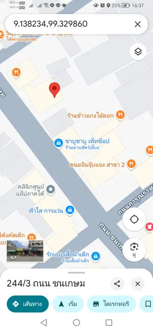 ให้เช่า ที่ดิน ตำบลตลาด อำเภอเมืองสุราษฎร์ธานี จังหวัดสุราษฎร์ธานี