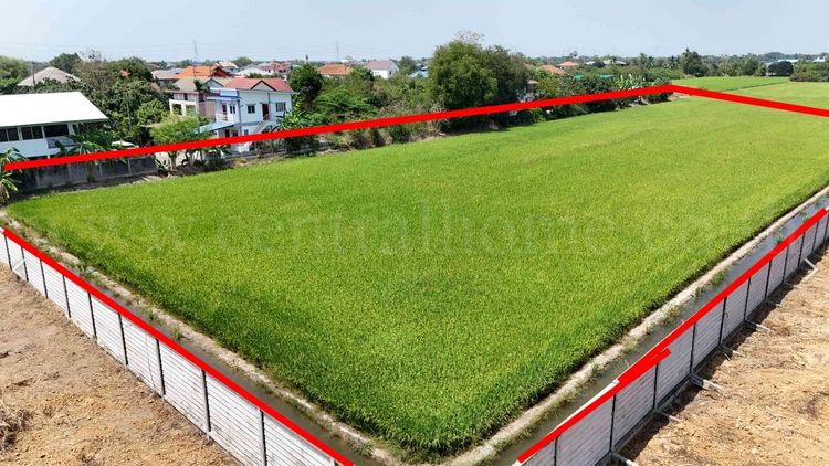 ที่ดินเปล่า แปลงสวย 3 ไร่ บางบัวทอง - นนทบุรี, ภาพที่ 4