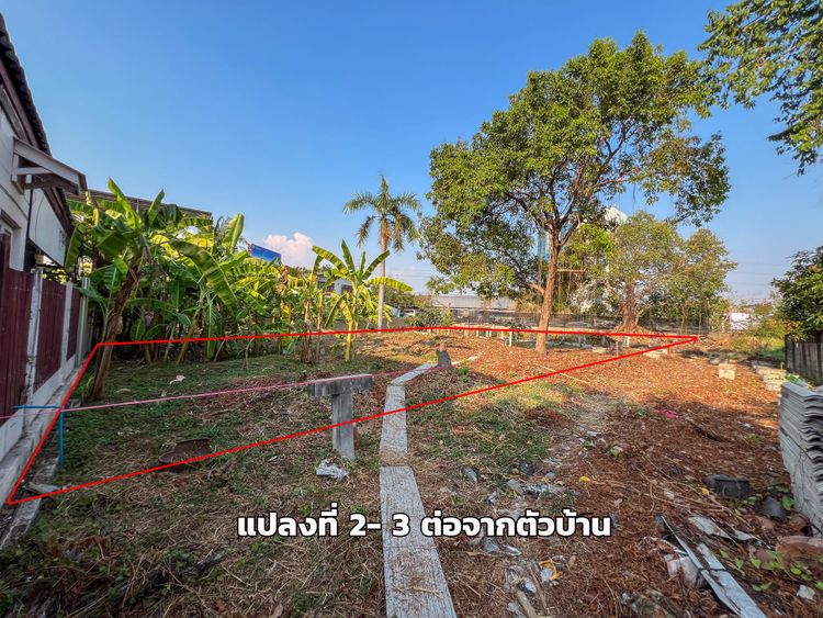 🔥 ขายที่ดิน 443 ตร.ว. แถมบ้านเดี่ยว พหลโยธิน 24 แยก 8 – ทำเลทอง | 🚆 |, ภาพที่ 4