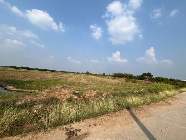 ขายที่ดิน 4 ไร่ - ใกล้ตัวเมืองอ่างทอง, ภาพที่ 4