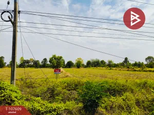 ขายที่ดินเปล่า เนื้อที่ 5 ไร่ ประโคนชัย บุรีรัมย์