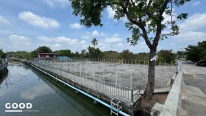 ขายด่วนที่ดินสวยถมเล้ว 300 ตร.วา บางบอน 3 ซอย 5 หน้าติดถนนสาธารณะหลังติดคลอง