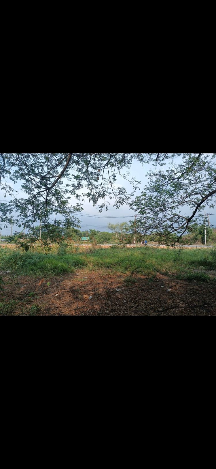 ขายที่ดินราคาถูกด่วน0982832356, ภาพที่ 4