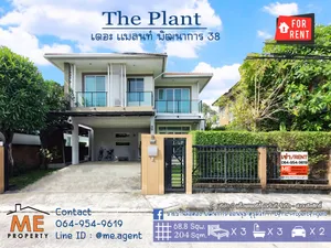 ให้เช่า บ้านเดี่ยวหลังใหญ่ The Plant Pattanakarn 38 โทร 085-1619569 (RBH15-69)