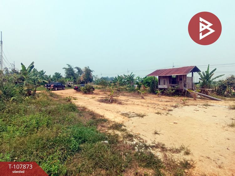 ขายที่ดิน เนื้อที่ 1 งาน ท่าสาย เชียงราย, ภาพที่ 4