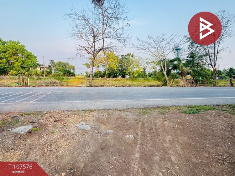 ขายที่ดินเปล่า เนื้อที่ 2 งาน หนองเสือ ปทุมธานี, ภาพที่ 4