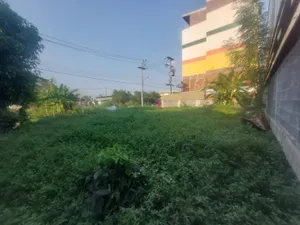 ที่ดินหลักหก ขายด่วน ที่ดินแปลงสวย 65 ตร.ว.ติดสถานนีรถไฟฟ้าหลักหก ใกล้ม.รังสิต ใกล้สนามบินดอนเมือง ใกล้ตลาดสี่มุมเมือง  โทร.081-805-8640