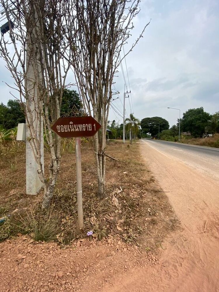 ขายที่ดินราคาถูก ย่านโนนห้อม ปราจีนบุรี ถมแล้ว ติดถนน, ภาพที่ 4