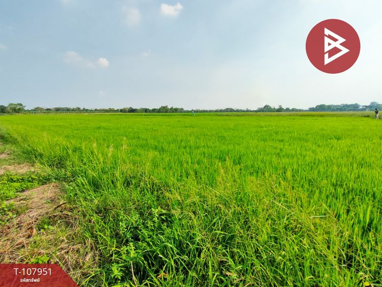 ขายที่ดินเปล่า เนื้อที่ 3 ไร่ 1 งาน 87 ตร.วา ท่าทราย นครนายก, ภาพที่ 4