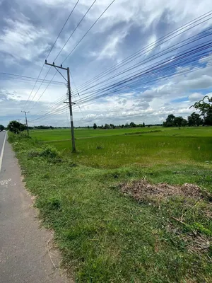 ขาย ที่ดิน ตำบลกระโพ อำเภอท่าตูม จังหวัดสุรินทร์