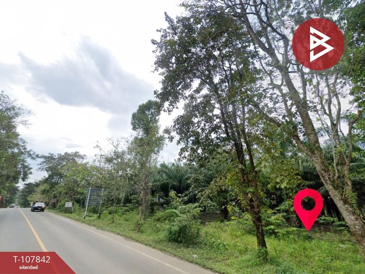 ขายที่ดิน เนื้อที่ 46 ไร่ 1 งาน 89 ตร.วา บ่อไร่ ตราด, ภาพที่ 4