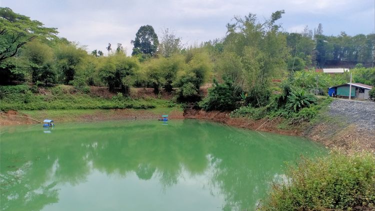 ขายสวนเกษตร ระบบน้ำทั่วแปลง 51 ไร่ อ.ขลุง, ภาพที่ 4