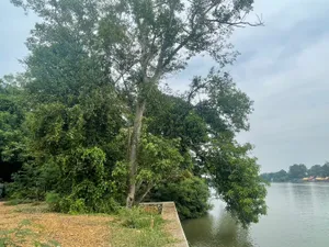 ขายและให้เช่า ที่ดินริมแม่น้ำ 910 ตร.วา ใกล้วัดหลุมดิน เมืองราชบุรี