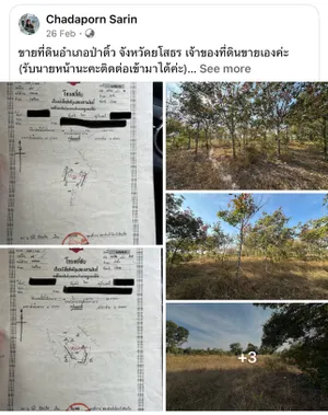 ขาย ที่ดิน ตำบลโพธิ์ไทร อำเภอป่าติ้ว จังหวัดยโสธร