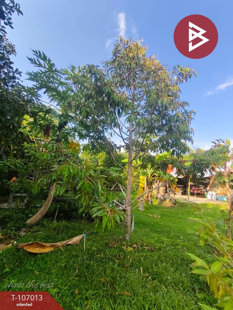 ขายที่ดินสวนผลไม้ผสมพร้อมบ้าน พลับพลา จันทบุรี, ภาพที่ 4