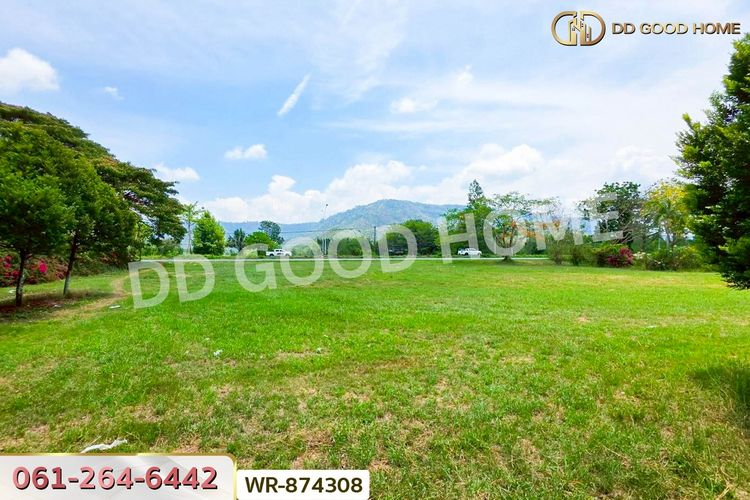 WR-874308 ที่ดินนาดี 27 ไร่ 389 ตร.ว. ปราจีนบุรี, ภาพที่ 4