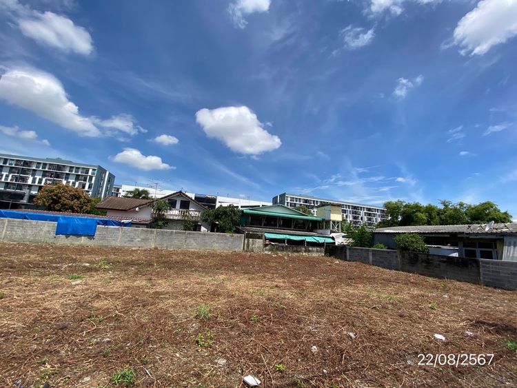 ขายและให้เช่า ที่ดิน ซอยลาซาล59 แขวงบางนาใต้ เขตบางนา กรุงเทพมหานคร, ภาพที่ 4
