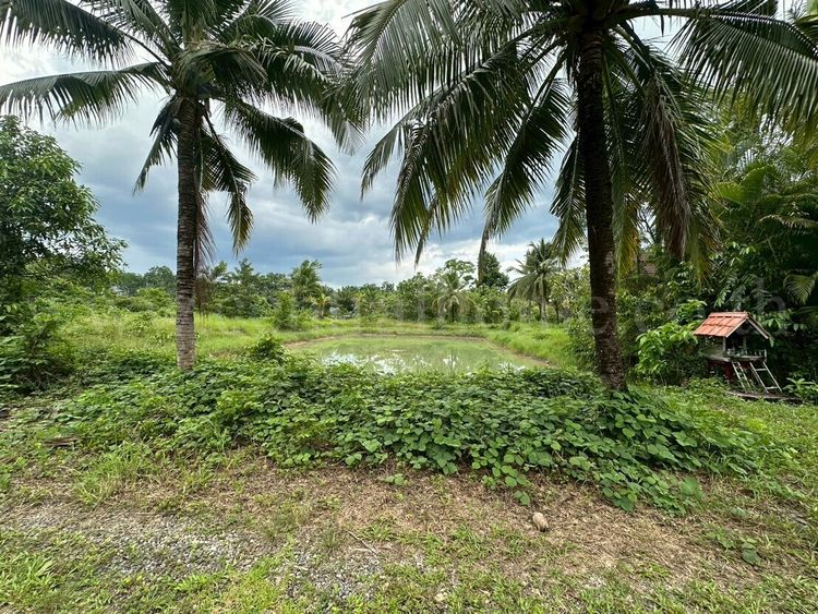 ที่ดินพร้อมสิ่งปลูกสร้าง 3-2-66.4 ตร.วา หน้าหมู่บ้าน ทวีทรัพย์ บ้านควน, ภาพที่ 4