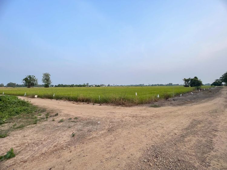 ขายที่ดิน ซ.หนองหัวยาง 13 อ.ท่าทอง จ.พิษณุโลก 9-1-43.5ไร่, ภาพที่ 4