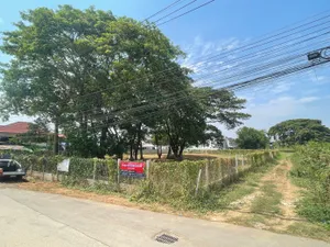 ให้เช่า ที่ดิน ตำบลหนองหอย อำเภอเมืองเชียงใหม่ จังหวัดเชียงใหม่