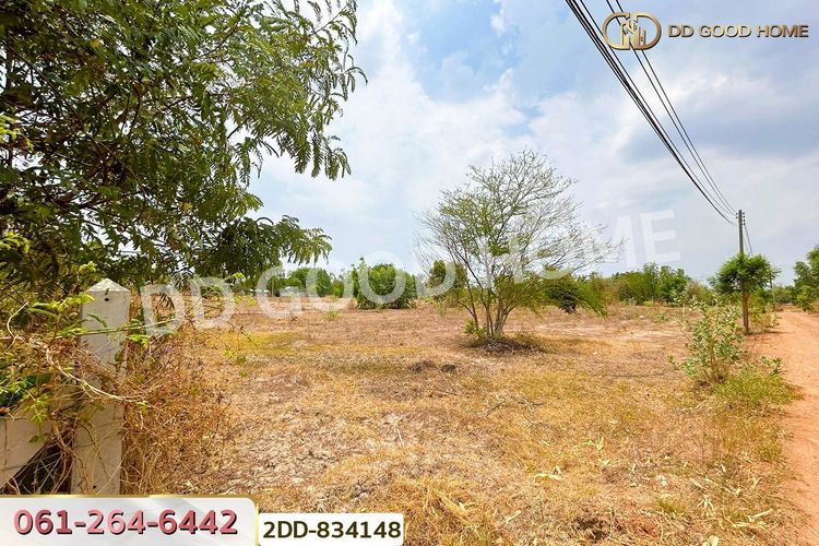 2DD-834148 ที่ดินเลาขวัญ 2 ไร่ กาญจนบุรี ใกล้โรงเรียนเลาขวัญราษฎร์บำรุง, ภาพที่ 4
