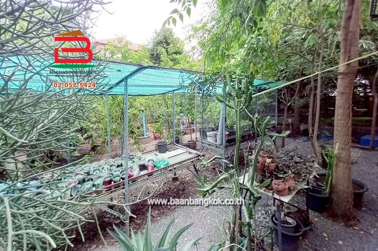 ที่ดินเปล่า ซอยนิมิตใหม่ 11 เนื้อที่ 100 ตรว. ถนนนิมิตใหม่ เขตคลองสามวา, ภาพที่ 4
