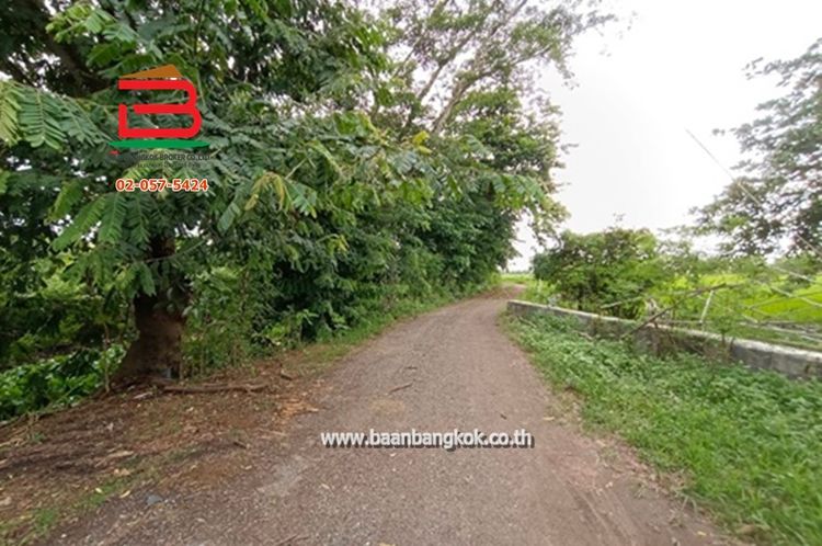 ที่ดินเปล่า ศาลาแดง 11 เนื้อที่ 1-1-26 ไร่ ซ.สุวินทวงศ์ 59 ต.ศาลาแดง, ภาพที่ 4
