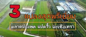 ขายด่วน! ที่ดินสีม่วง ราคาถูกที่สุดในย่านนี้ เหมาะสำหรับสร้างโรงงาน โกดัง หรือทำธุรกิจ ใกล้กรุงเทพฯ ทำเลดี เดินทางสะดวก