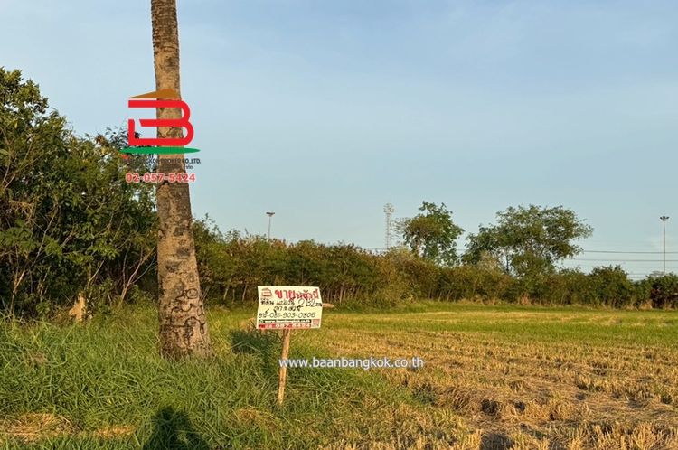 ที่ดินเปล่า ถนนปทุมธานี-บางปะหัน (347) เนื้อที่ 2-2-0 ไร่ (347), ภาพที่ 4