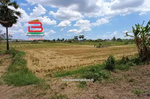 ที่ดินเปล่า ถนนปทุมธานี-บางปะหัน (347) เนื้อที่ 2-2-0 ไร่ ใกล้ตลาดพูนทรัพย์ ถนนปทุมธานี-บางปะหัน (347) ตำบลเชียงรากใหญ่ อำเภอสามโคก จังหวัดปทุมธานี