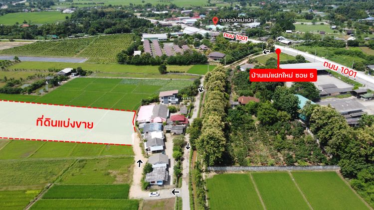 ขายที่ดิน 114 ตรว ใกล้ตลาดเจดีย์แม่ครัว (เจ้าของขายเอง), ภาพที่ 4