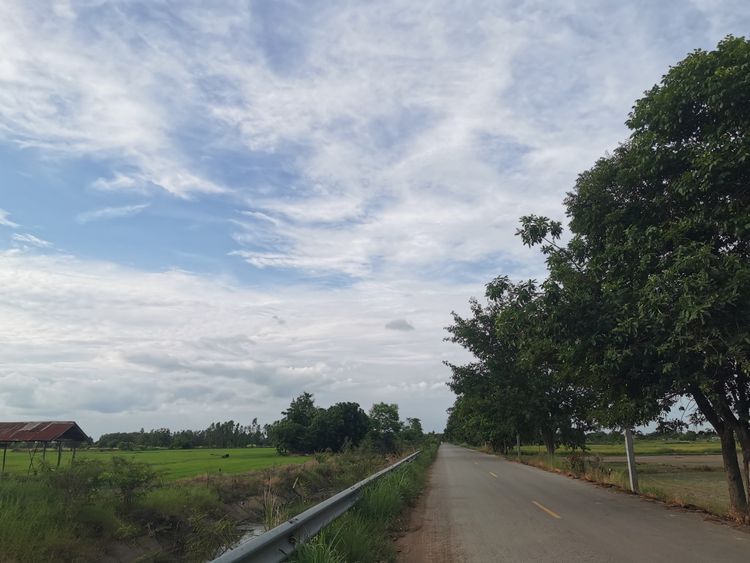ที่ดินแปลงสวยแบ่งล็อคขาย บ้านกล้วย สุโขทัย  มีหลายแปลง ติดถนนทุกแปลง, ภาพที่ 4