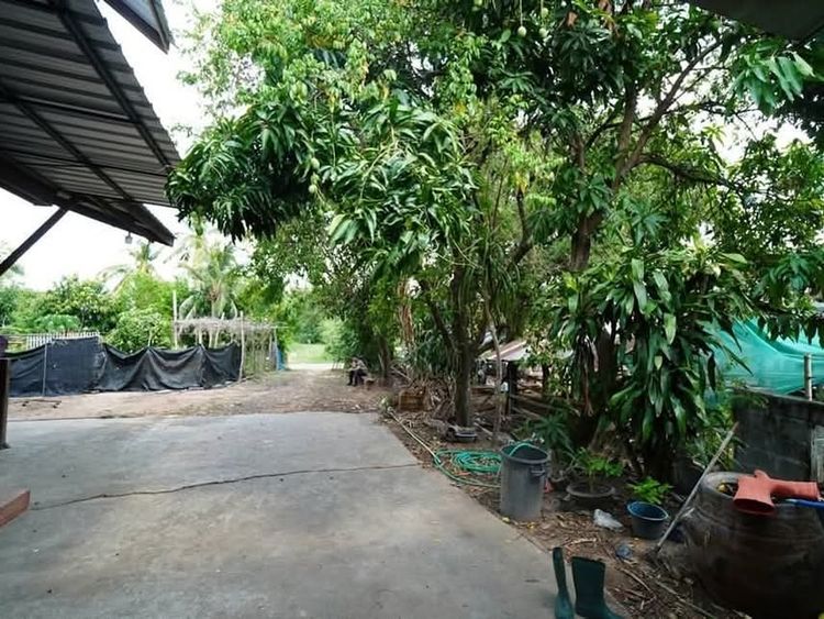 ขาย บ้าน ใกล้อ่างเก็บน้ำธวัชชัย ตำบลนิเวศน์ อำเภอธวัชบุรี, ภาพที่ 4