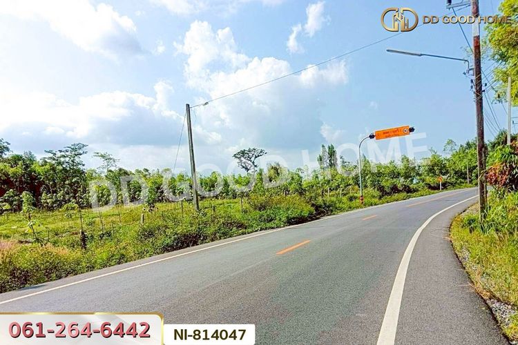 NI-814047 ที่ดินเปาะเส้ง 3 ไร่ 50 ตร.ว. ยะลา, ภาพที่ 4