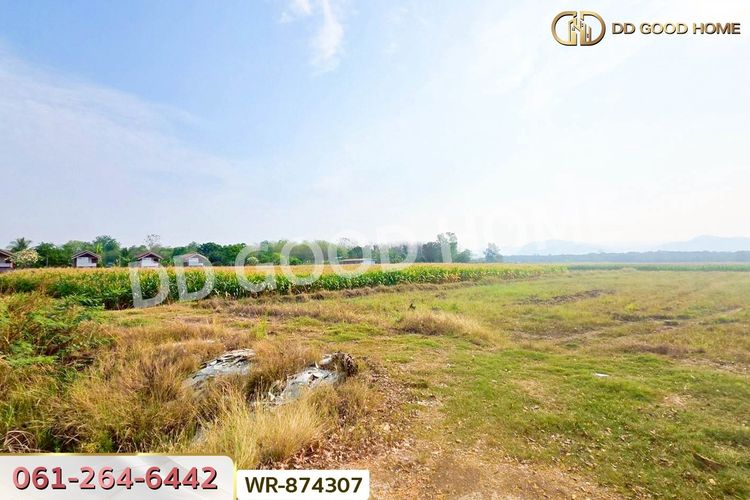 WR-874307 ที่ดินเมืองเพชรบูรณ์ 7 ไร่ 208.2 ตร.ว., ภาพที่ 4