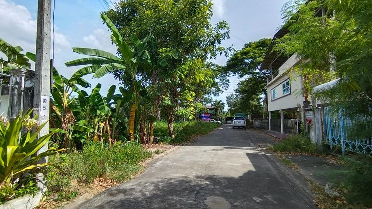 ขาย ที่ดินแปลงสวยสำหรับนักลงทุนและผู้ที่กำลังมองหาที่ดินเปล่า, ภาพที่ 4
