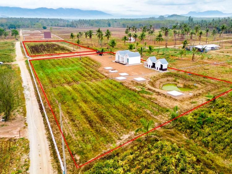 บ้านพักตากอากาศ ใกล้ทะเลบ้านกรูด 3ไร่ ผ่อนตรงเจ้าของได้, ภาพที่ 4