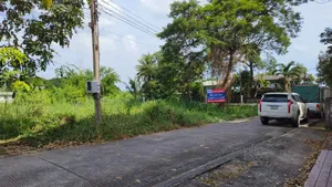 ขาย ที่ดินแปลงสวยสำหรับนักลงทุนและผู้ที่กำลังมองหาที่ดินเปล่า