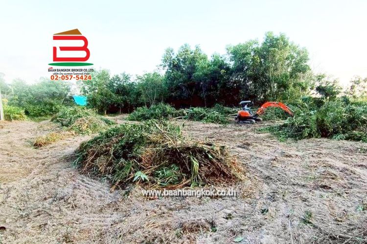 ที่ดินเปล่า อำเภอแกลง-ระยอง เนื้อที่ 393 ตารางวา ใกล้วัดชากพง ตำบลชากพง, ภาพที่ 4
