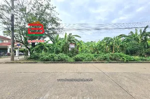 ที่ดินเปล่า หมู่บ้านปาริชาต 345 (โซน B ซอย 15) เนื้อที่ 81 ตร.ว ตำบลบางคูวัด อำเภอเมืองปทุมธานี ปทุมธานี