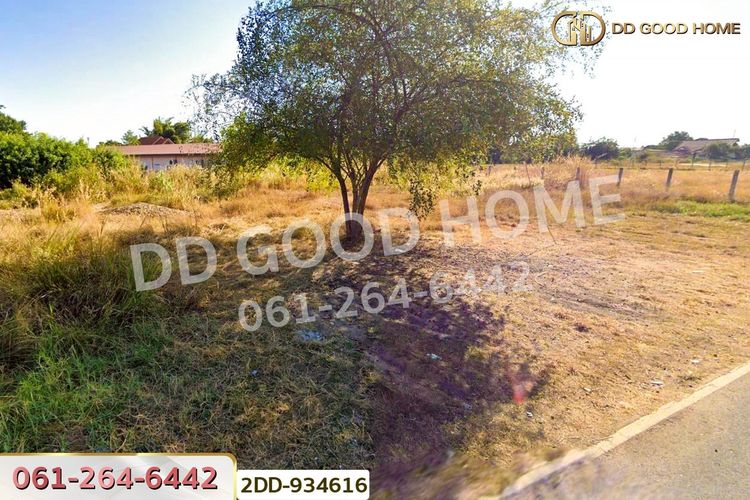 2DD-934616 ที่ดินเลิงนกทา 318.3 ตร.ว. ยโสธร, ภาพที่ 4